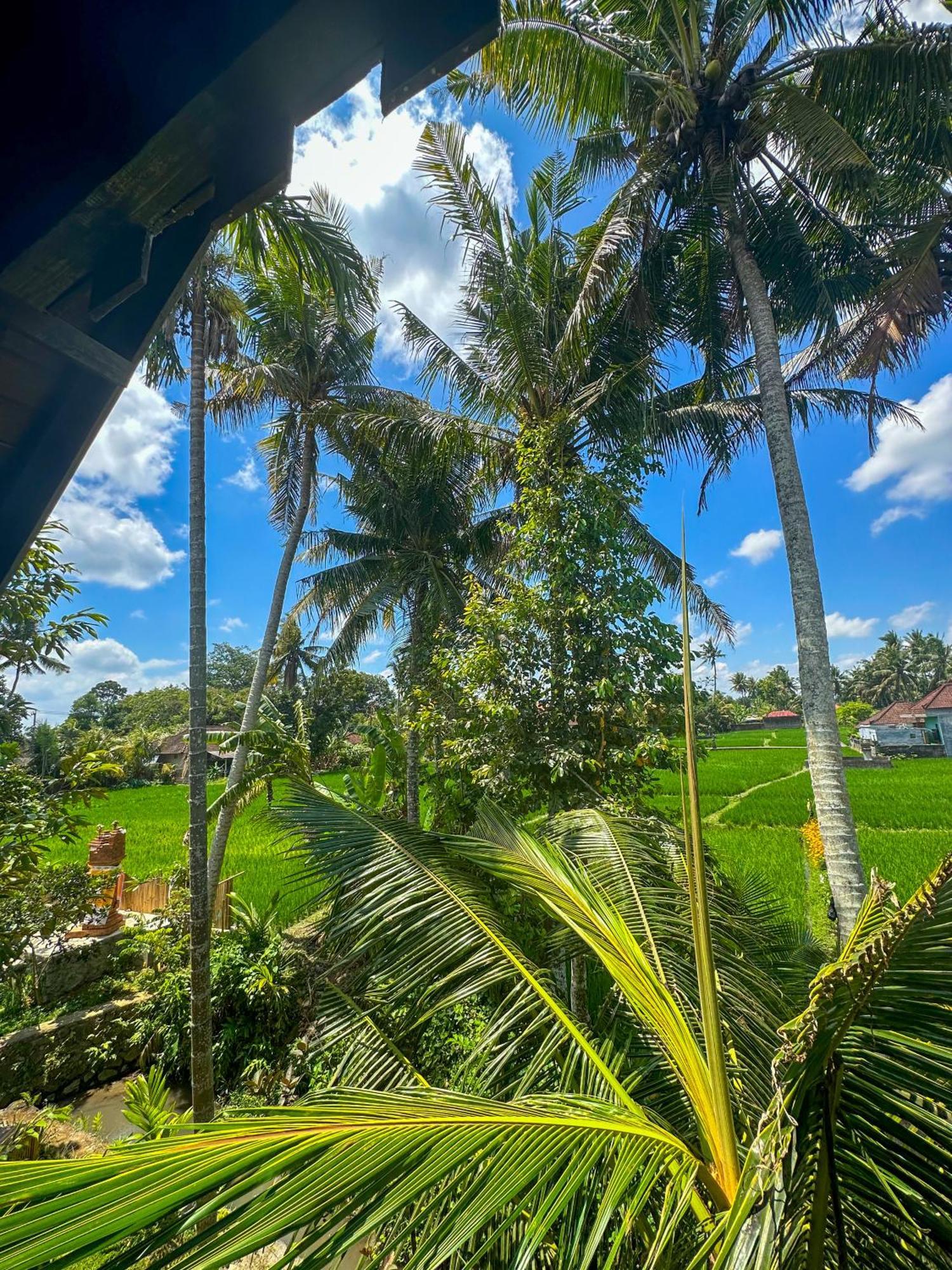 Nunu Bali Eco Friendly Retreat Otel Canggu Dış mekan fotoğraf