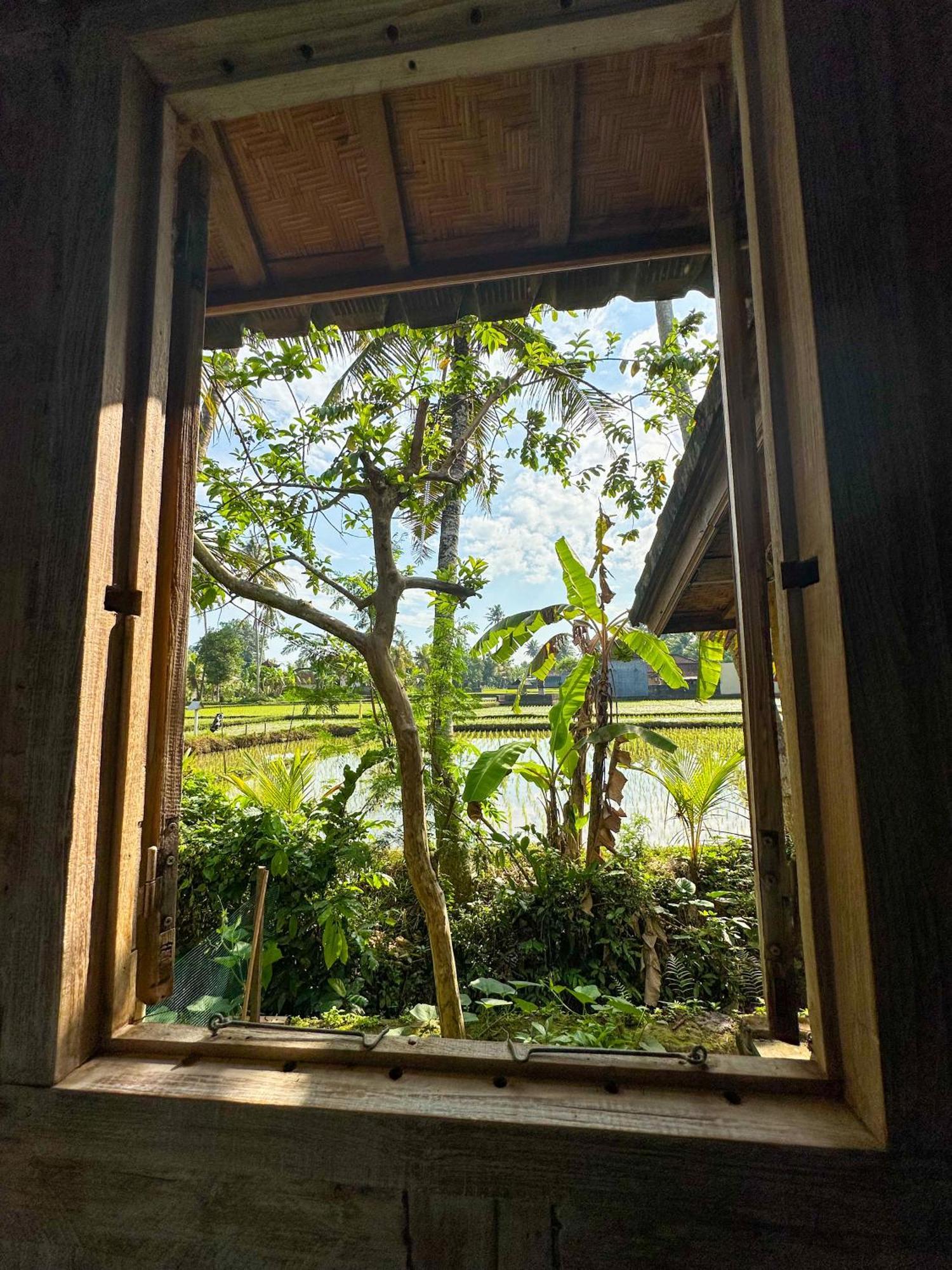 Nunu Bali Eco Friendly Retreat Otel Canggu Dış mekan fotoğraf